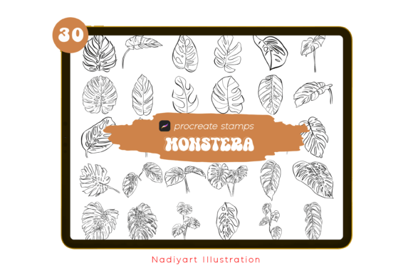 Download 30 Monstera Leaves Procreate Stamps - Leaves procreate Collection