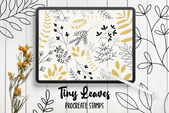 Download Hand Drawn Leaves Procreate Stamps - Leaves procreate Collection